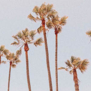 Meet your Posher, Miss a